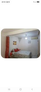 Carbet Horizon - 8