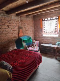 casa domo - 8