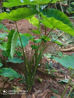 Camping Nature Bora - 9