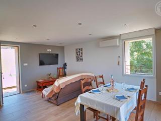 Gîte rénové avec terrasse et animaux acceptés à Saint-Chamond - FR-1-496-324 - 1