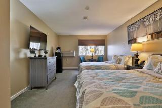 Killington Center Inn & Suites by Killington VR - Studios - 7
