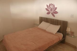 Vida Lotus Retreat & Spa - 6