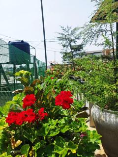 Gregory Holiday Home Nuwaraeliya - 9