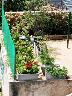 Gregory Holiday Home Nuwaraeliya - 3