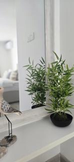Nala Host - Maafushi Homes - 1