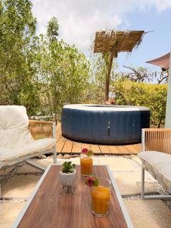 Ambiance chaleureuse, lounge, SPA privé & piscine - 8