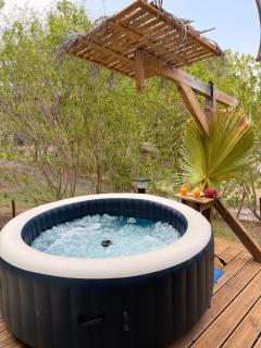 Ambiance chaleureuse, lounge, SPA privé & piscine - 5