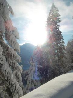 Müllerkaser - Lofer - 9