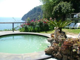 Hotel Giardino Delle Ninfe E La Fenice - Ischia - 5