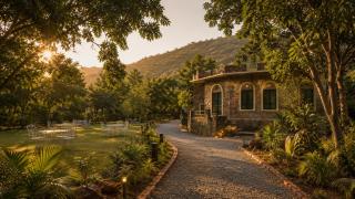 Sariska Forest Trail - 0