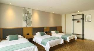 GreenTree Inn Xinxiang Fengqiu County Xingfu Road - 3