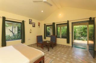 Sariska Forest Trail - 4