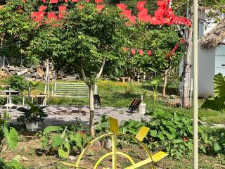 Nà Bó 2 Springlet Homestay - 2
