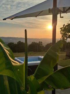 Agriturismo Il Truffarello TODI - Todi - 6