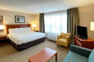 Smart Suites, an Ascend Collection Hotel - 6