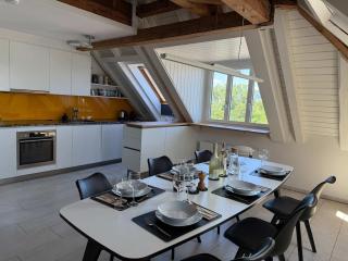 Lake Zurich Attic with Parking and View - 8