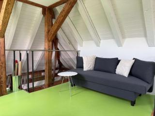 Lake Zurich Attic with Parking and View - 2