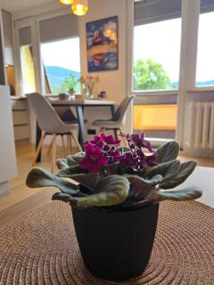 Apartament Karkonoski Pejzaż - 2