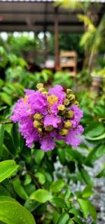 Phuc Sinh Homestay - 8