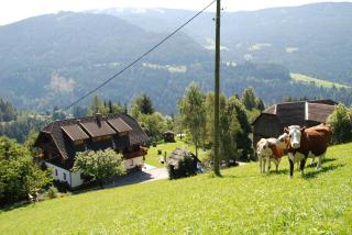 Ferienwohnung Lahnerhof - 3