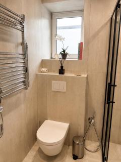 Pure Lotus Studio Apartment Druskininkai - 3