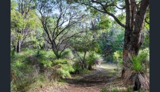 Trackside Tiny Home - 9