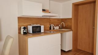 Apartmány V Novém Světě 422 - Harrachov - 2