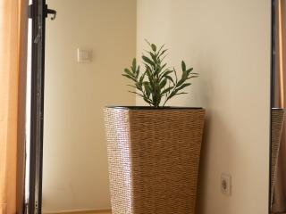 Pirin View Cozy Studio near Bansko & Pirin Golf - 3