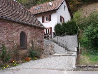 la roseraie - Fréland - 5