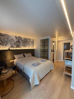 Newly Renovated Rom Bergen Fana - 4