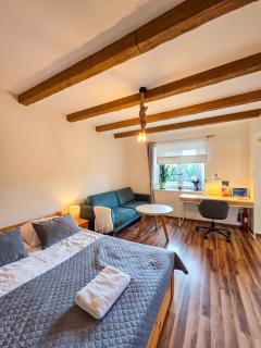 Apartament Jurajski parking 8 minut od alei - 8