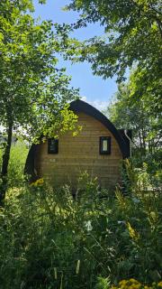 Tiny House De Bosksjonger - 8