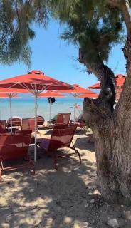 Villa Orangerie - Where Luxury Meets Serenity - 7