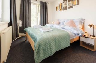 BNB Luzna Apartment with Balcony and Parking - 5