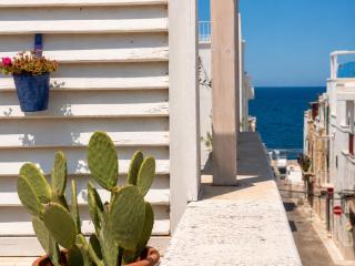MIRA - casa di mare - 2