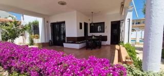 Casablanca - 2