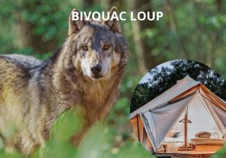 BIVOUAC Espace Rambouillet Parc forestier et animalier - 9