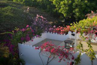 Marquezy House - Shela, Lamu Island - 2