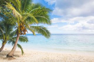 Pae Moana, Rarotonga - 7
