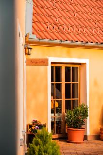 Hotel Pavlov - 6