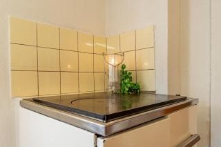 Authentic Swiss Farm Stay in the Alps Fireplace - 1