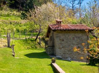 Comfortable House in Bibbiena + Pool - 6