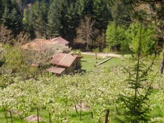 Comfortable House in Bibbiena + Pool - 8