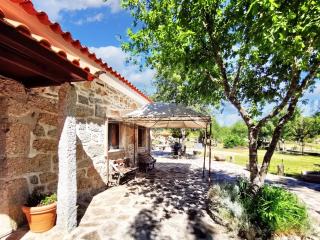 Charming villa in Segões with a private pool - 9