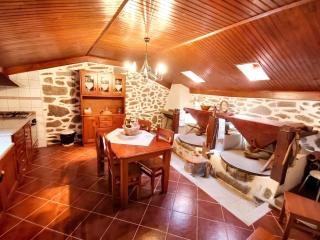 Charming villa in Segões with a private pool - 7