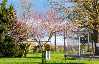 Villa pour 14 personnes à Périssac - 3