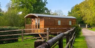 Charmant Studio à Villers sur Mer avec Jardin de 20 m² - 3