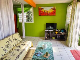 Studio agréable avec vue sur la mer à Marigot - 30 m² + Jardin. - Marigot - 6