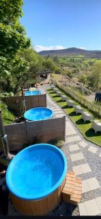 Revive Wellness Pods - 5