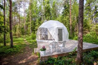 Bubble House glamping tent Odulemma - 3